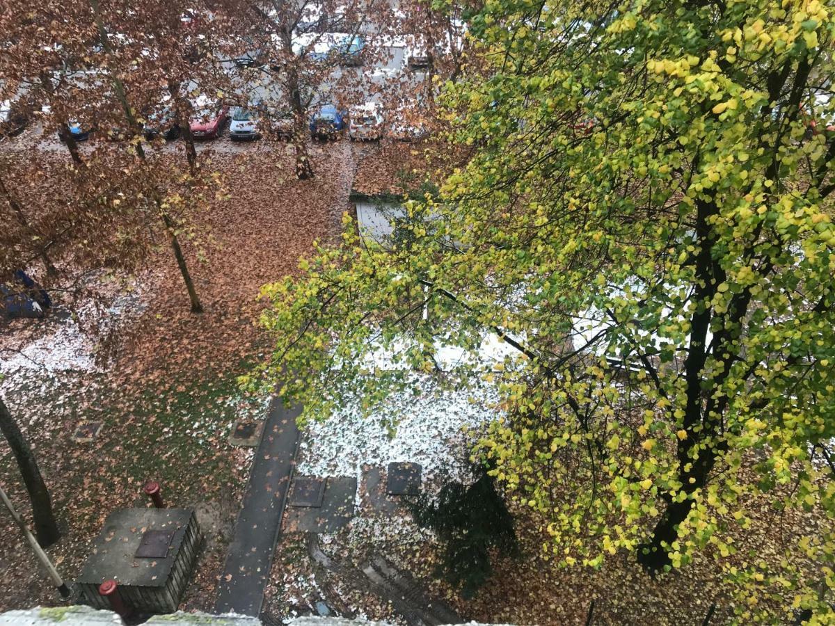 Apartman Zagabria Leilighet Eksteriør bilde